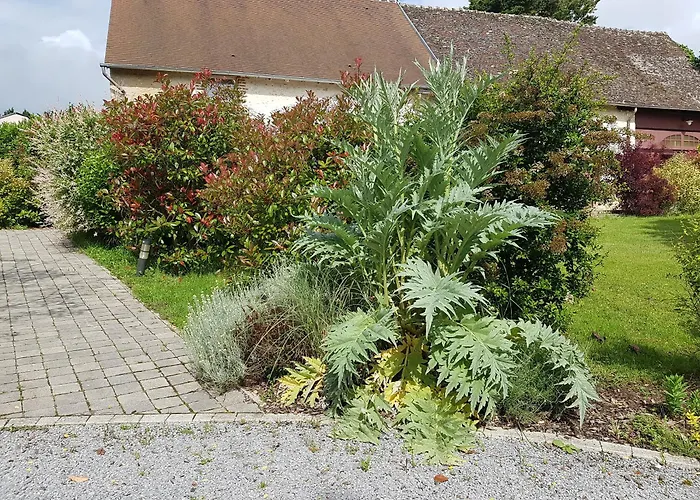 Les 7 Tilleuls - Gite