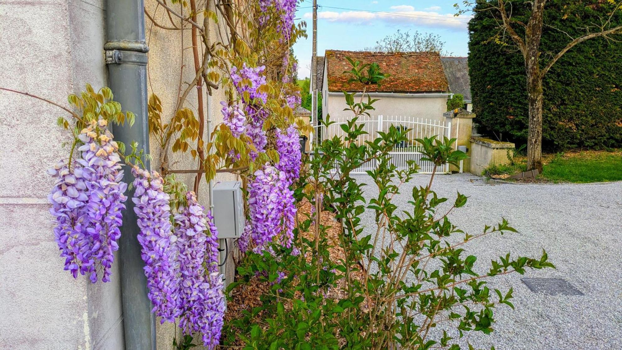 Ferienhaus Les 7 Tilleuls - Mesland
